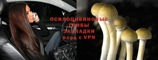 гидра Алексин