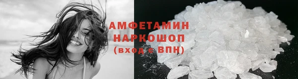 гидра Алексин