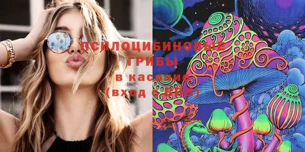 мет Алзамай